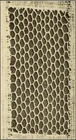 Picture 153 of 197 from A lace guide for makers and collectors; with bibliography and five-language nomenculture, profusely illus. with halftone plates and key designs (1920), leaf 207