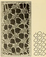 Picture 186 of 197 from A lace guide for makers and collectors; with bibliography and five-language nomenculture, profusely illus. with halftone plates and key designs (1920), leaf 235