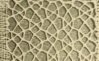 Picture 196 of 197 from A lace guide for makers and collectors; with bibliography and five-language nomenculture, profusely illus. with halftone plates and key designs (1920), leaf 244