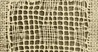 An illustration from A lace guide for makers and collectors; with a bibliography and five-language nomenclature, profusely illus. with halftone plates and key designs (1920)