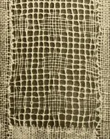 An illustration from A lace guide for makers and collectors; with a bibliography and five-language nomenclature, profusely illus. with halftone plates and key designs (1920)