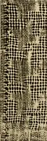 An illustration from A lace guide for makers and collectors; with a bibliography and five-language nomenclature, profusely illus. with halftone plates and key designs (1920)