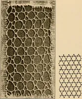 Picture 73 of 182 from A lace guide for makers and collectors; with a bibliography and five-language nomenclature, profusely illus. with halftone plates and key designs (1920), leaf 135