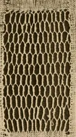 An illustration from A lace guide for makers and collectors; with a bibliography and five-language nomenclature, profusely illus. with halftone plates and key designs (1920)