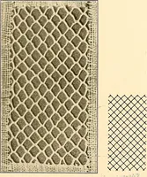 An illustration from A lace guide for makers and collectors; with a bibliography and five-language nomenclature, profusely illus. with halftone plates and key designs (1920)