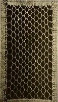 An illustration from A lace guide for makers and collectors; with a bibliography and five-language nomenclature, profusely illus. with halftone plates and key designs (1920)