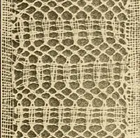 An illustration from A lace guide for makers and collectors; with a bibliography and five-language nomenclature, profusely illus. with halftone plates and key designs (1920)