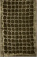 Picture 137 of 182 from A lace guide for makers and collectors; with a bibliography and five-language nomenclature, profusely illus. with halftone plates and key designs (1920), leaf 200