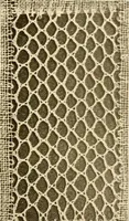 An illustration from A lace guide for makers and collectors; with a bibliography and five-language nomenclature, profusely illus. with halftone plates and key designs (1920)
