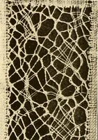 An illustration from A lace guide for makers and collectors; with a bibliography and five-language nomenclature, profusely illus. with halftone plates and key designs (1920)