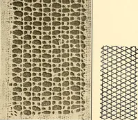 An illustration from A lace guide for makers and collectors; with a bibliography and five-language nomenclature, profusely illus. with halftone plates and key designs (1920)