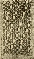 An illustration from A lace guide for makers and collectors; with a bibliography and five-language nomenclature, profusely illus. with halftone plates and key designs (1920)