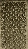 An illustration from A lace guide for makers and collectors; with a bibliography and five-language nomenclature, profusely illus. with halftone plates and key designs (1920)