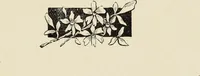 An illustration from La céramique au pays de Liège : étude rétrospective (1906)