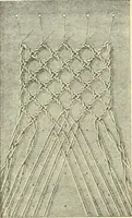 An illustration from Lace work (1896)