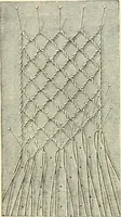An illustration from Lace work (1896)
