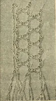 An illustration from Lace work (1896)