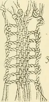 An illustration from Lace work (1896)