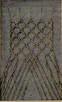 An illustration from Lace work : a handbook, illustrated (1896)