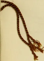 An illustration from Lace work in the field of decoration (1900)