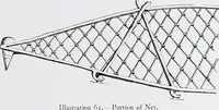 Picture 52 of 71 from Lacis, practical instructions in filet brodé or darning on net; (1909), leaf 113