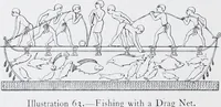 Picture 54 of 71 from Lacis, practical instructions in filet brodé or darning on net; (1909), leaf 114