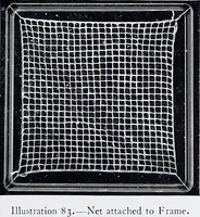 Picture 70 of 71 from Lacis, practical instructions in filet brodé or darning on net; (1909), leaf 149
