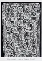 An illustration from Lacis, practical instructions in filet brodé or darning on net; (1909)