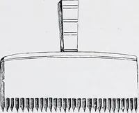 An illustration from Lacis, practical instructions in filet brodé or darning on net; (1909)