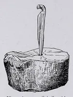 Picture 8 of 16 from Lacis, practical instructions in filet brodé or darning on net: (1909), leaf 104