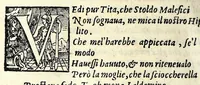 An illustration from La cofanaria : commedia (1593)