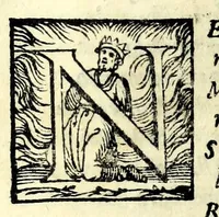 An illustration from La cofanaria : commedia (1593)