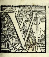 An illustration from La cofanaria : commedia (1593)