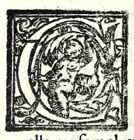An illustration from La cognata : comedia facetissima et nova (1583)