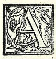 Picture 5 of 8 from La cognata : comedia facetissima et nova (1583), leaf 40