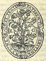 An illustration from La comedie Des svpposez (1552)