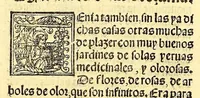 An illustration from La conquista de Mexico. 1552 (1553)