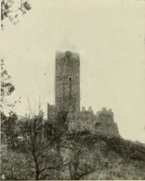 Picture 88 of 120 from La conservazione dei monumenti della Lombardia dal 1 luglio 1900 al 31 dicembre 1906 (1908), leaf 207