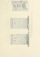 An illustration from La conservazione dei monumenti della Lombardia dal 1 luglio 1900 al 31 dicembre 1906 (1908)