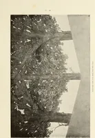 An illustration from La conservazione dei monumenti della Lombardia dal 1 luglio 1900 al 31 dicembre 1906 (1908)