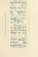 Picture 34 of 120 from La conservazione dei monumenti della Lombardia dal 1 luglio 1900 al 31 dicembre 1906 (1908), leaf 80