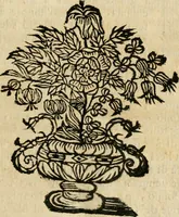 An illustration from La coronatione della miracolosissima imagine di Maria Vergine detta del Sasso, nella chiesa di S. Agostino di Lucca : con una breve narratione della solenne festa fatta nella medesima chiesa per la canonizatione di S. Gio. da S. Facondo e la vita elogiastica dell' istesso santo (1693)