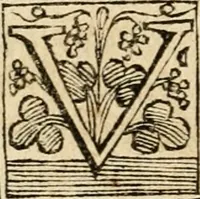 An illustration from La coronatione della miracolosissima imagine di Maria Vergine detta del Sasso, nella chiesa di S. Agostino di Lucca : con una breve narratione della solenne festa fatta nella medesima chiesa per la canonizatione di S. Gio. da S. Facondo e la vita elogiastica dell' istesso santo (1693)