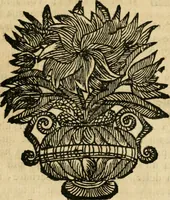 An illustration from La coronatione della miracolosissima imagine di Maria Vergine detta del Sasso, nella chiesa di S. Agostino di Lucca : con una breve narratione della solenne festa fatta nella medesima chiesa per la canonizatione di S. Gio. da S. Facondo e la vita elogiastica dell' istesso santo (1693)