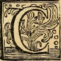 An illustration from La coronatione della miracolosissima imagine di Maria Vergine detta del Sasso, nella chiesa di S. Agostino di Lucca : con una breve narratione della solenne festa fatta nella medesima chiesa per la canonizatione di S. Gio. da S. Facondo e la vita elogiastica dell' istesso santo (1693)
