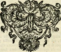 An illustration from La coronatione della miracolosissima imagine di Maria Vergine detta del Sasso, nella chiesa di S. Agostino di Lucca : con una breve narratione della solenne festa fatta nella medesima chiesa per la canonizatione di S. Gio. da S. Facondo e la vita elogiastica dell' istesso santo (1693)