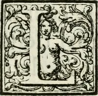 An illustration from La coronatione della miracolosissima imagine di Maria Vergine detta del Sasso, nella chiesa di S. Agostino di Lucca : con una breve narratione della solenne festa fatta nella medesima chiesa per la canonizatione di S. Gio. da S. Facondo e la vita elogiastica dell' istesso santo (1693)