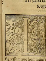 Picture 15 of 40 from La coronica general de España (1574), leaf 486