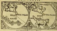 Picture 4 of 16 from La cosmographie de Pierre Apian, libure tresutile, traictant de toutes les regions [et] pays du monde par artifice astronomicque, nouuellement traduict de latin en françois. ; Et par Gemma Frison ... corrige. Auecq[ue] aultres libures du mesme Gemma Fr. appartenantz audict artifice, com[m]e la page ensuyuante la declaire (1544), leaf 28