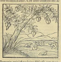 Picture 11 of 42 from La cosmographie vniuerselle de tout le monde. : En laquelle, suiuant les auteurs plus dignes de foy, sont au vray descriptes toutes les parties habitables, & non habitables de la terre, & de la mer, leurs assiettes & choses qu'elles produisent ... auec plusieurs autres choses, le sommaire desquelles se void en la page suiuante. (1575), leaf 103